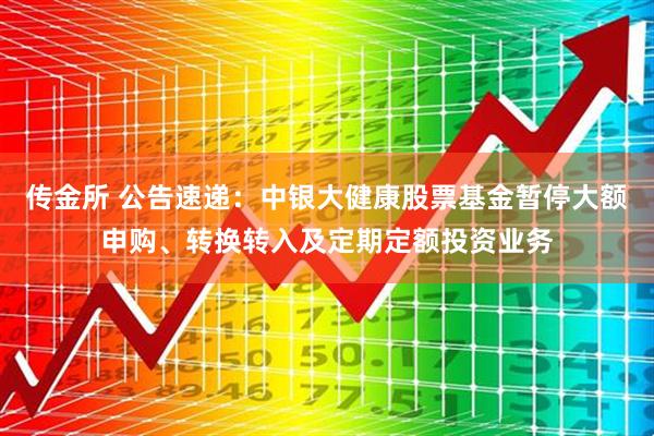 传金所 公告速递：中银大健康股票基金暂停大额申购、转换转入及定期定额投资业务