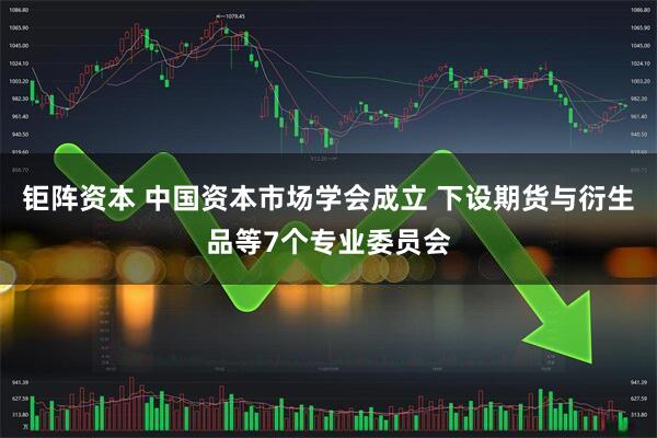 钜阵资本 中国资本市场学会成立 下设期货与衍生品等7个专业委员会