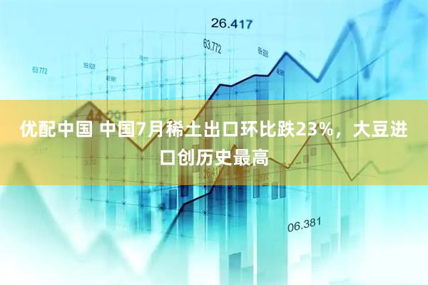 优配中国 中国7月稀土出口环比跌23%，大豆进口创历史最高